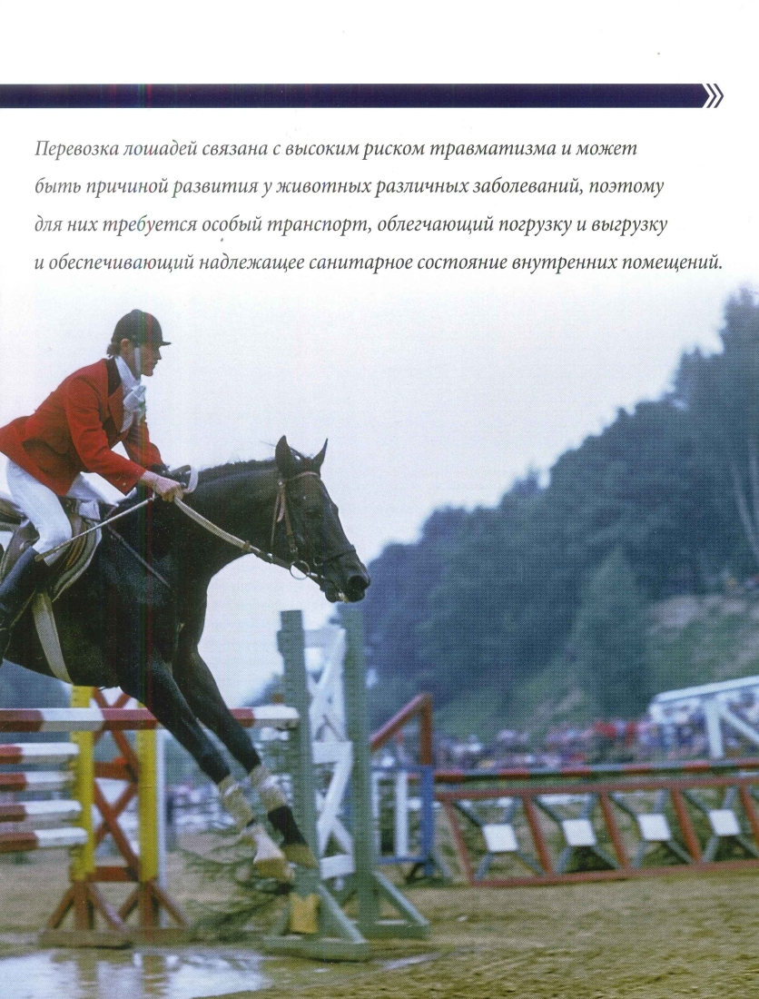 Russia Official vehicles-78